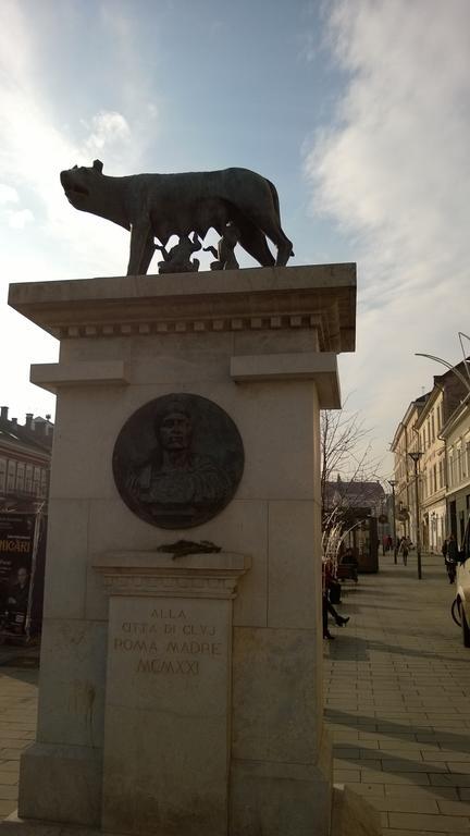 M Cluj-Napoca